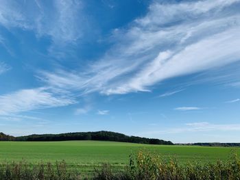 Scenic view of agricultural field against sky