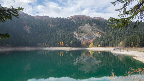 Scenic view of lake by trees against sky