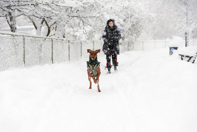 Full length of man with dog walking in snow