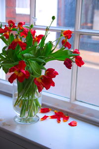Close-up of flower pot on window sill
