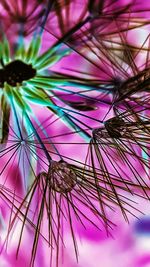 Low angle view of pink flower against sky