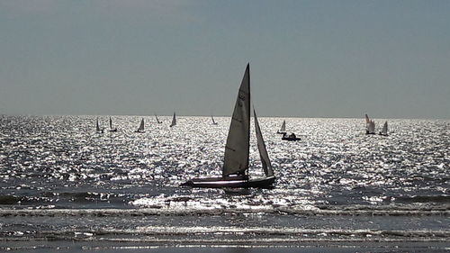 Sailboat sailing on sea against clear sky