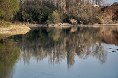 Reflection of trees in lake