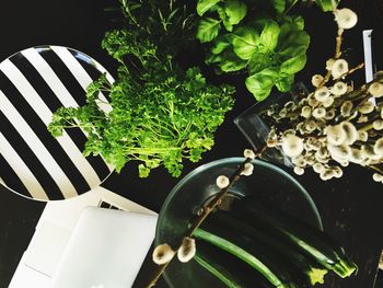 High angle view of plants on table