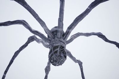 Low angle view of frozen tree against sky