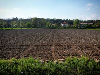 Scenic view of field against sky