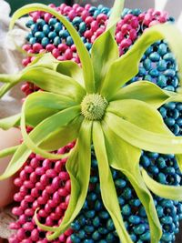 Close-up of fruits in basket for sale