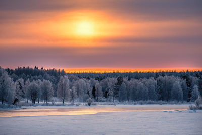 Snow covered trees against sky during sunset