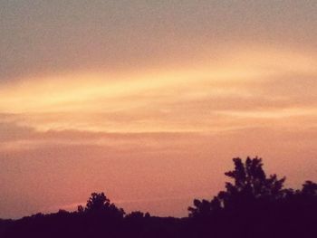 Silhouette of trees at sunset