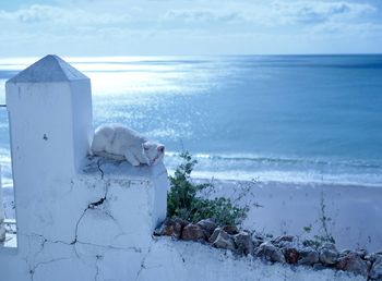 Scenic view of sea against sky during winter