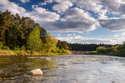 Scenic view of river by trees against sky