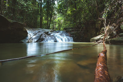 View of waterfall in forest