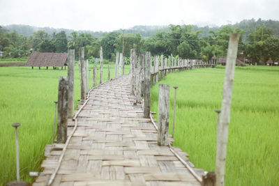 Boardwalk amidst agricultural field against sky