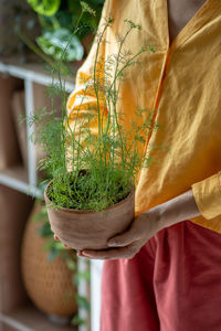 Midsection of woman holding potted plant