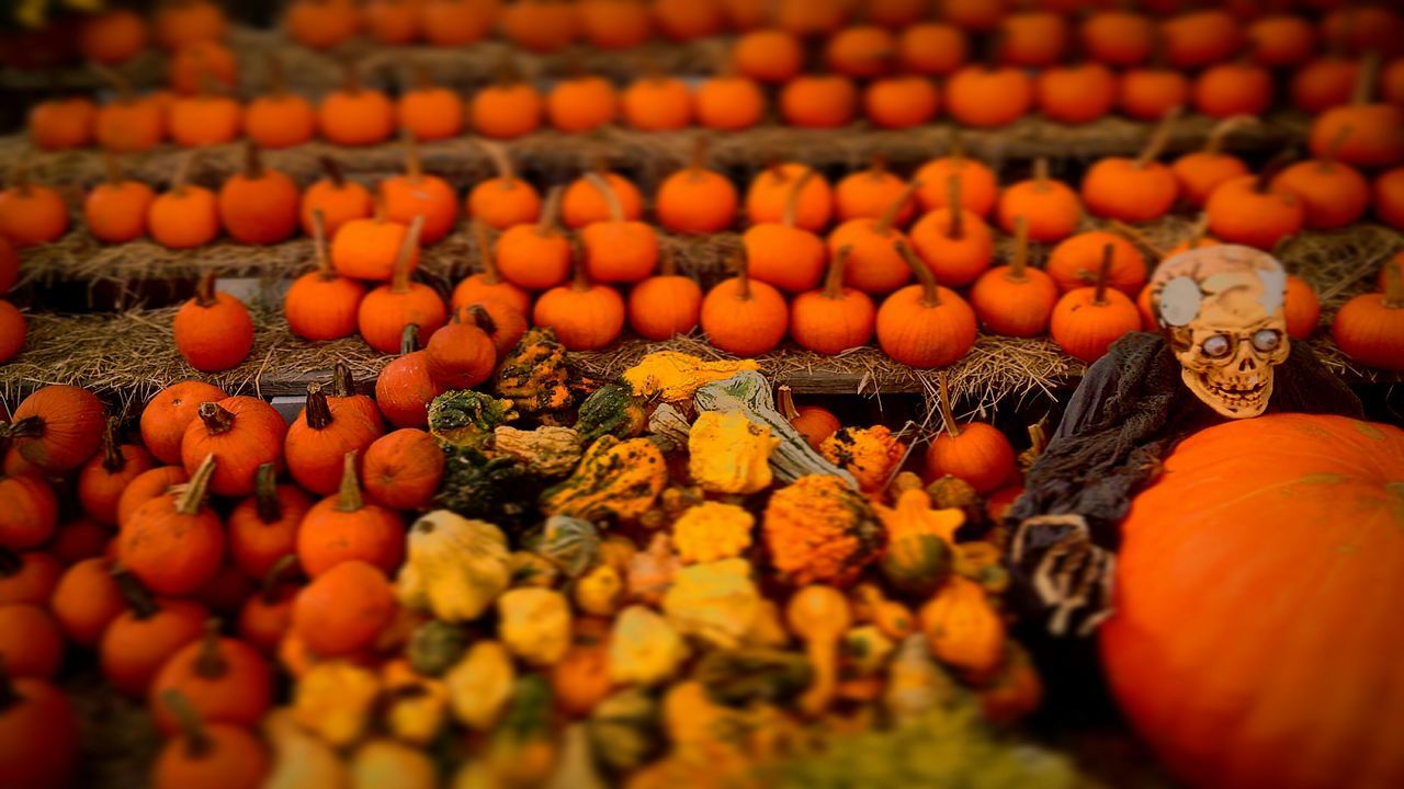 abundance, large group of objects, orange color, freshness, variation, selective focus, for sale, fruit, close-up, multi colored, pumpkin, food and drink, healthy eating, market, retail, no people, market stall, choice, nature, outdoors