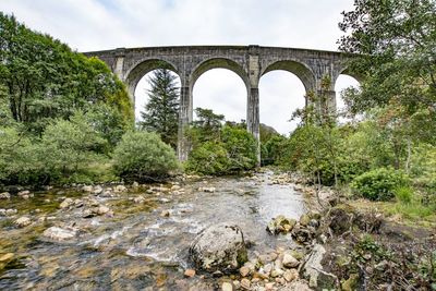 Arch bridge over river in forest against sky