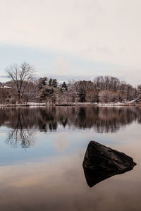 Reflection of bare trees in lake against sky