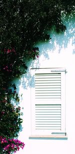 View of building and trees by window