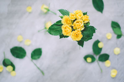 Close-up of flowers on table