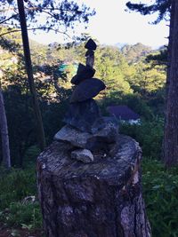 Stack of stones on field against trees in forest