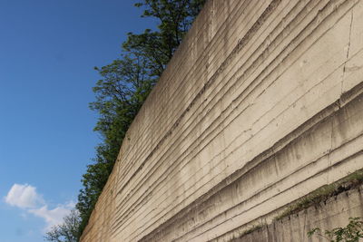Low angle view of trees against blue sky