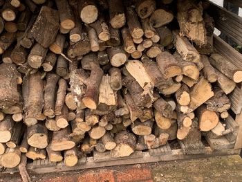 timber