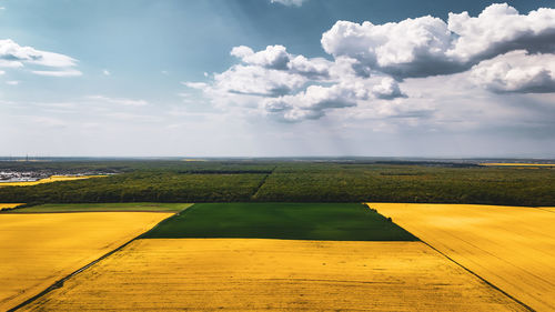 horizon
