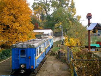 Train on street amidst trees during autumn