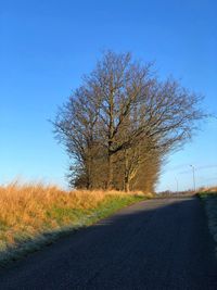 Road by trees on field against clear blue sky