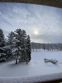 Trees on snow covered field against sky