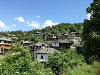 Houses and trees by buildings against blue sky