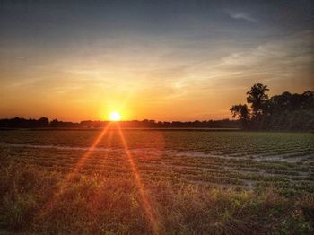 Scenic view of field against sky during sunset