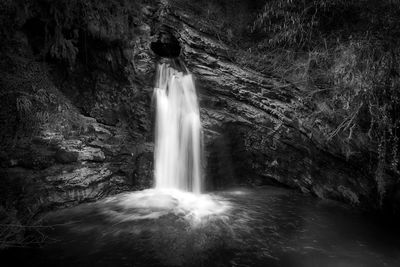 Scenic view of waterfall in forest