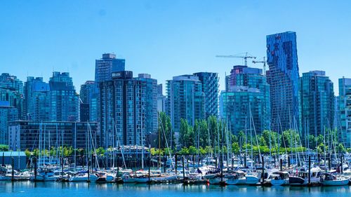 Vancouver from stanley park 