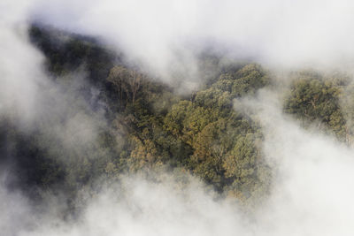 Scenic view of mountains during foggy weather
