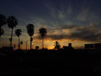 Silhouette of palm trees at sunset