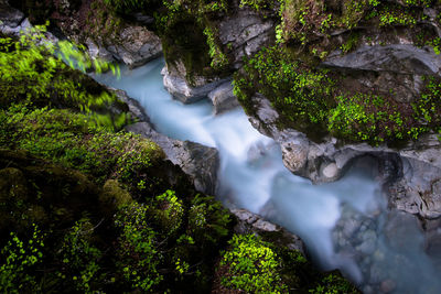 High angle view of waterfall in forest