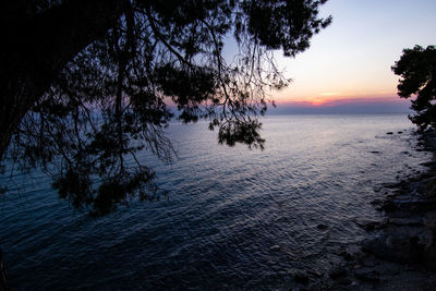 Silhouette tree by sea against sky during sunset