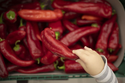 Midsection of woman holding red chili peppers