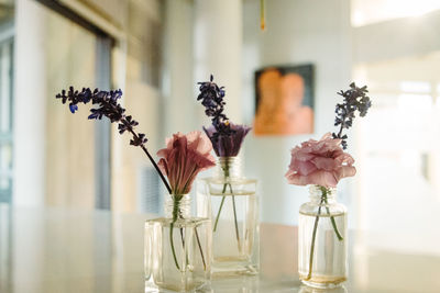 Close-up of vase on glass table