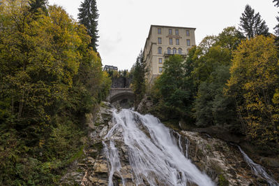 Scenic view of waterfall in forest