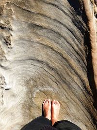Low section of person standing on rock