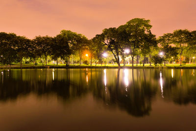 Illuminated trees by lake against sky at night