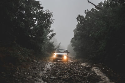 Off-road vehicle amidst trees in forest