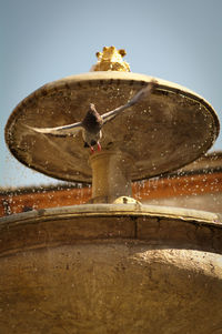 Close-up of water against clear sky