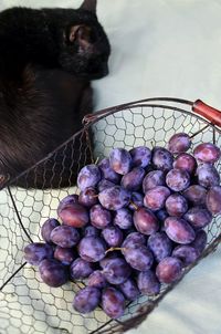 Close-up of fruits in basket