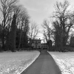 Empty road along bare trees