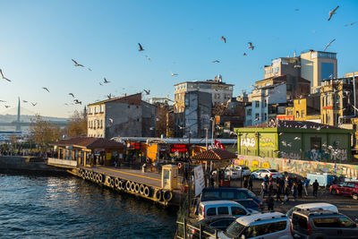 Birds flying over city against sky