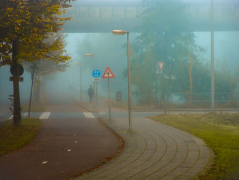 Road amidst trees against sky