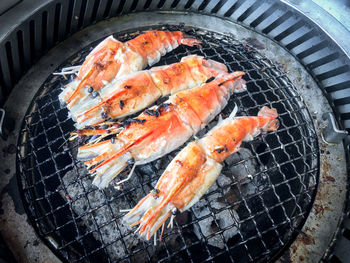 High angle view of fish on barbecue grill